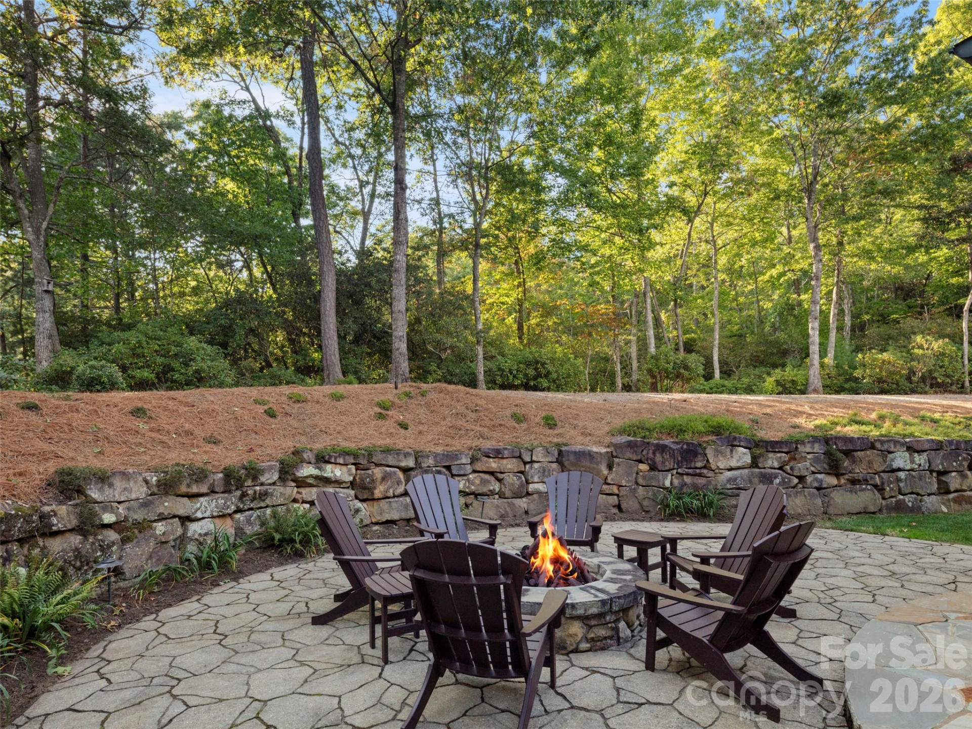 1946 White Tree Trail - Photo 29