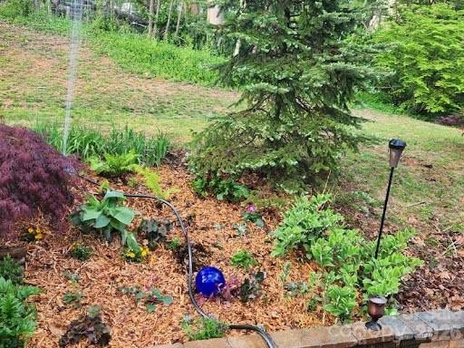 17 Marlwood Court #127 - Photo 40