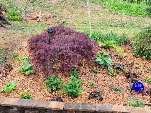 17 Marlwood Court #127 - Photo 41