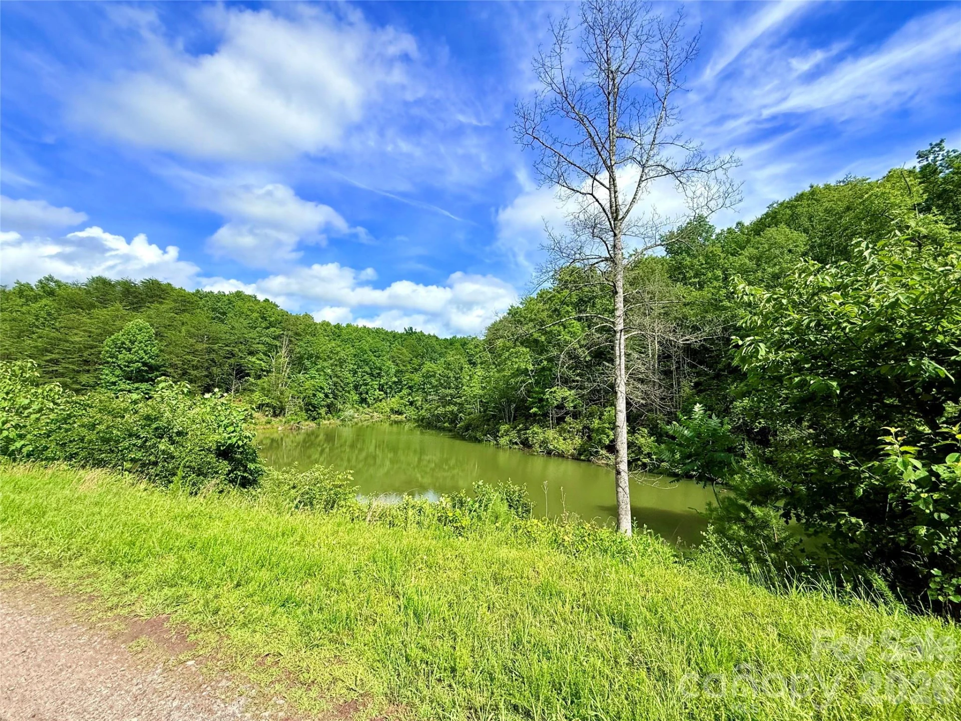 221 Summerfield Lane - Photo 12
