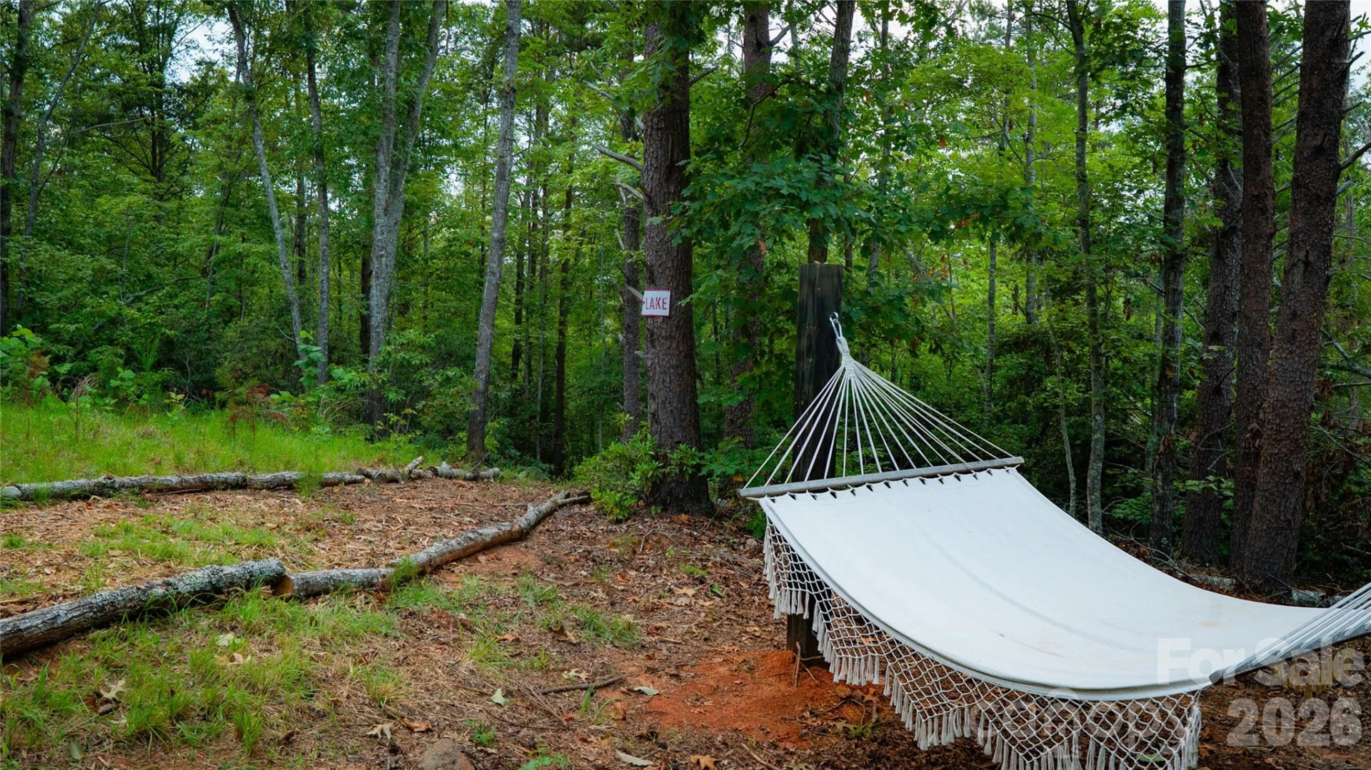 221 Summerfield Lane - Photo 6