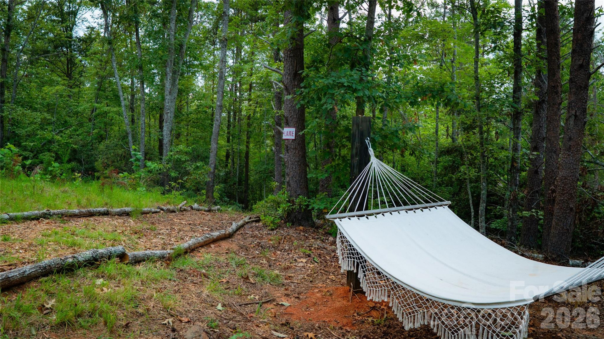 221 Summerfield Lane - Photo 19