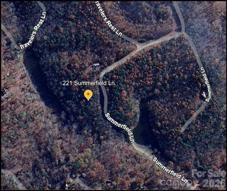 221 Summerfield Lane - Photo 30