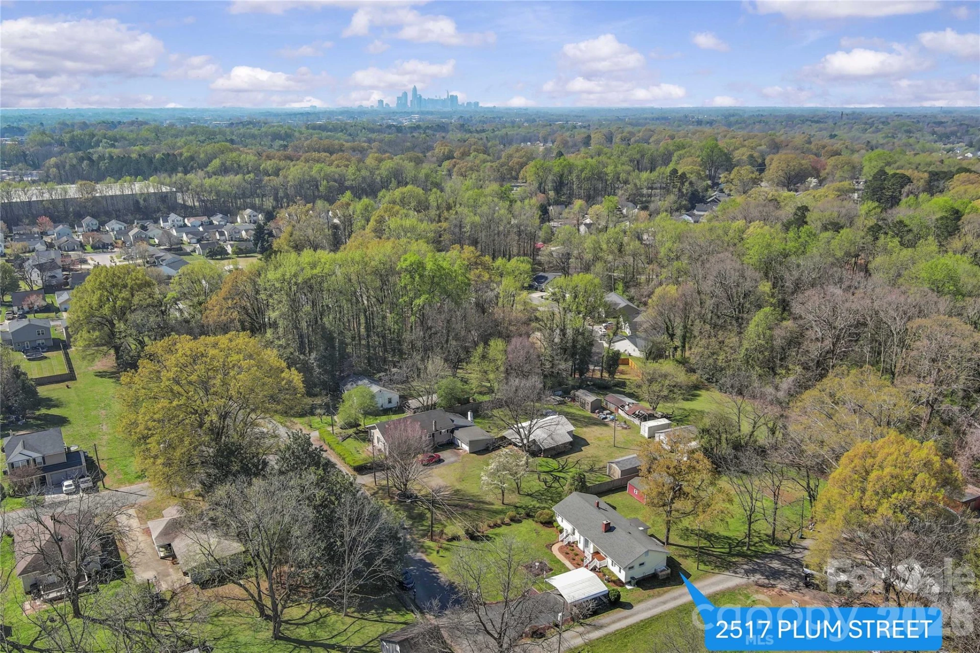 2517 Plum Street - Photo 45