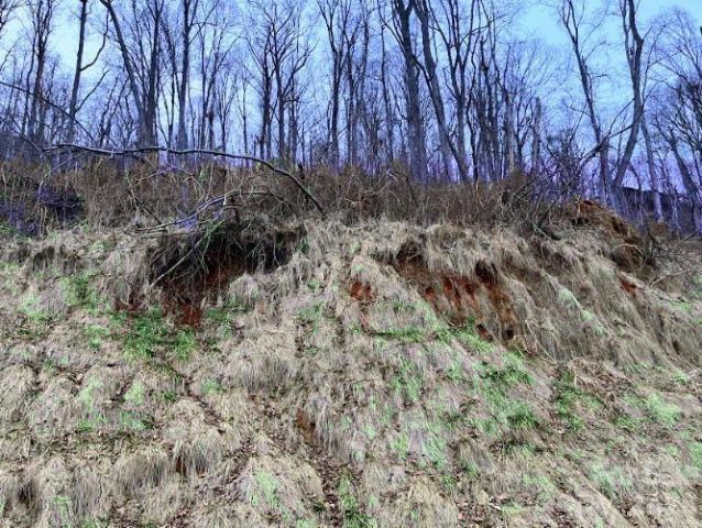 89 Weeping Cherry Forest Road