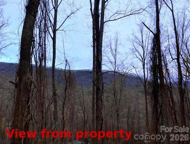 89 Weeping Cherry Forest Road - Photo 2