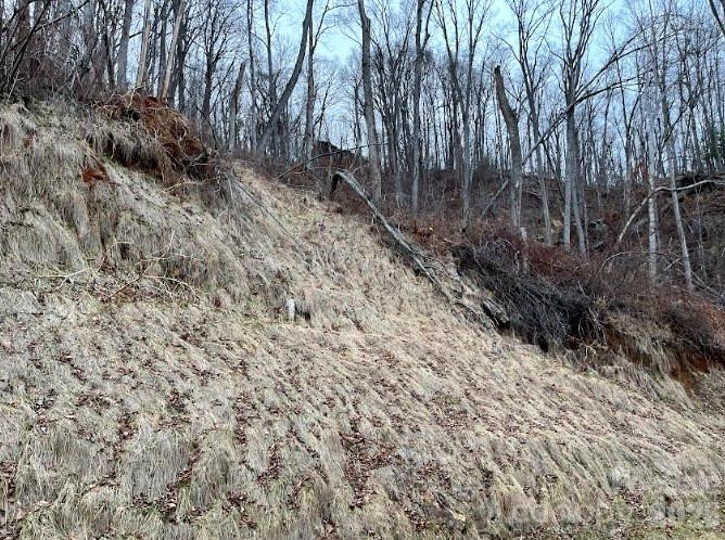 89 Weeping Cherry Forest Road - Photo 4