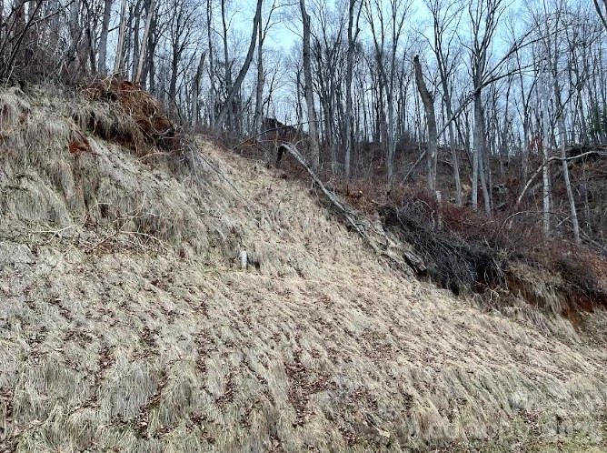 89 Weeping Cherry Forest Road - Photo 4