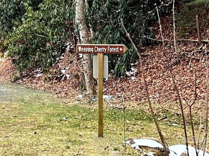 89 Weeping Cherry Forest Road - Photo 6