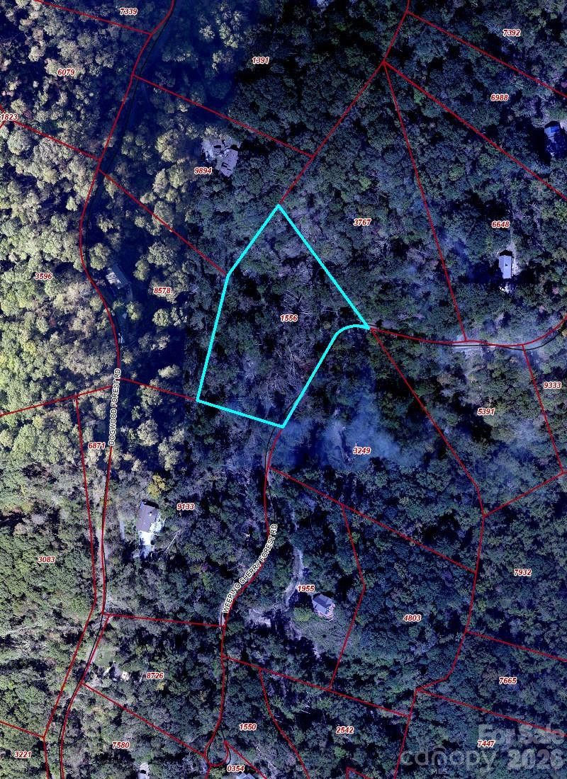 89 Weeping Cherry Forest Road - Photo 8