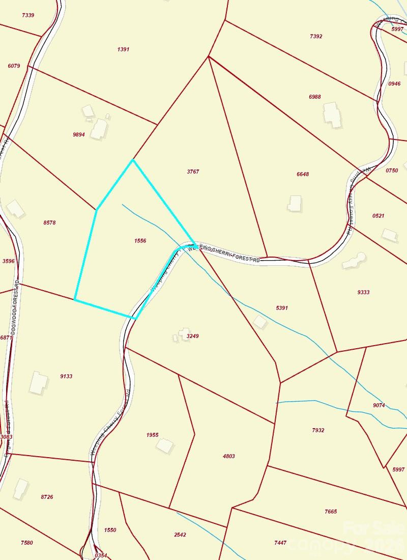 89 Weeping Cherry Forest Road - Photo 9