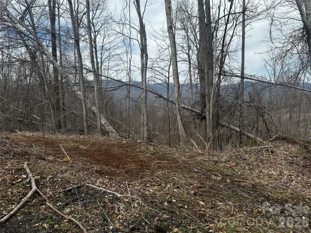 00 Bear Ridge Road, Bakersville, NC, 28705