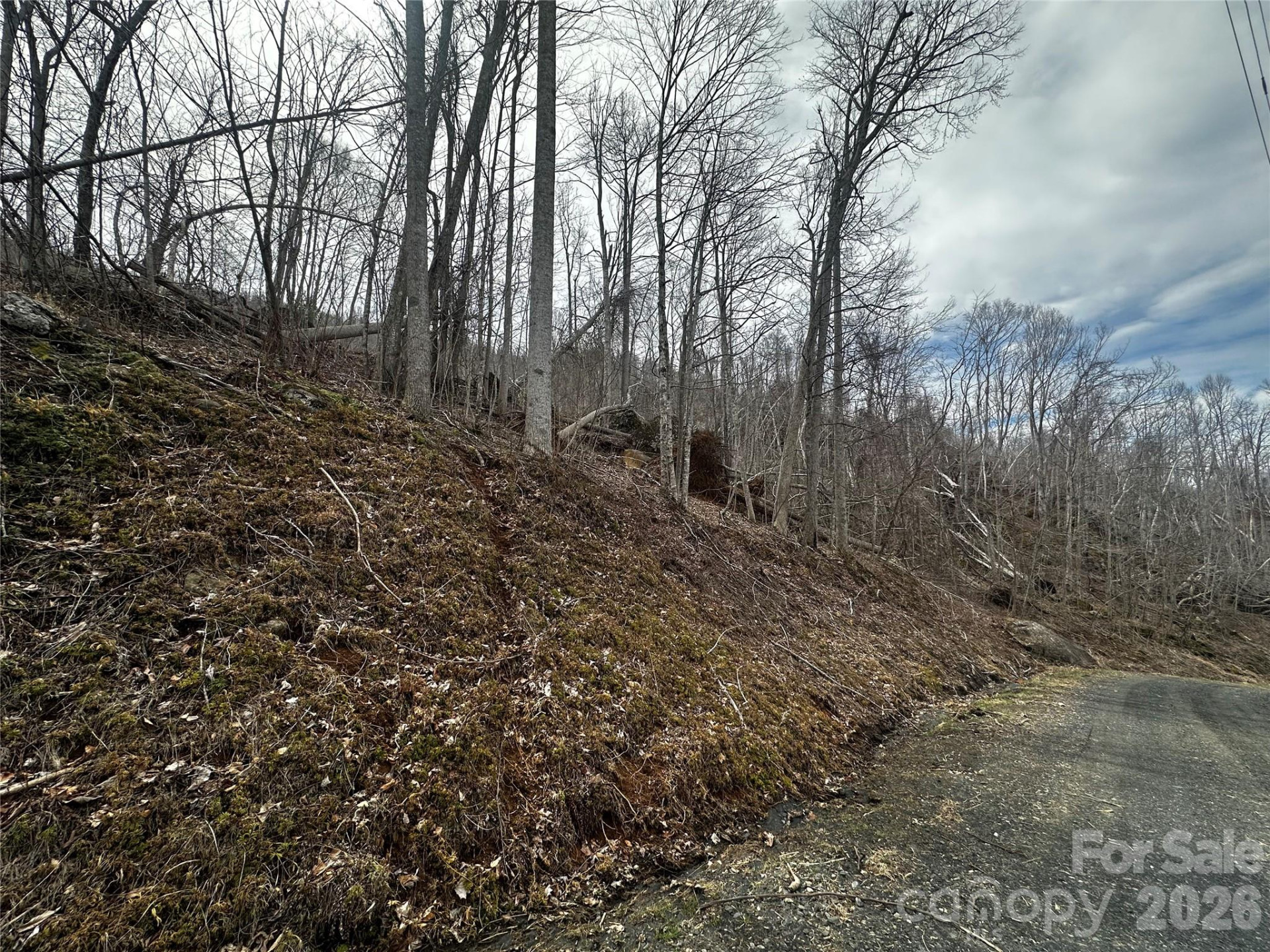 00 Bear Ridge Road - Photo 2