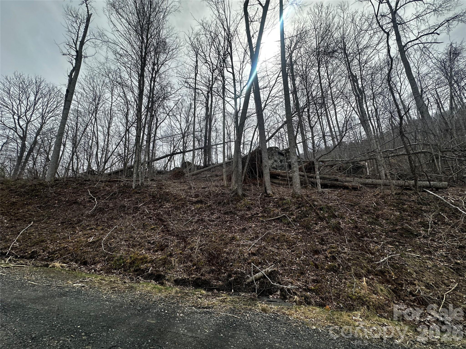 00 Bear Ridge Road - Photo 11