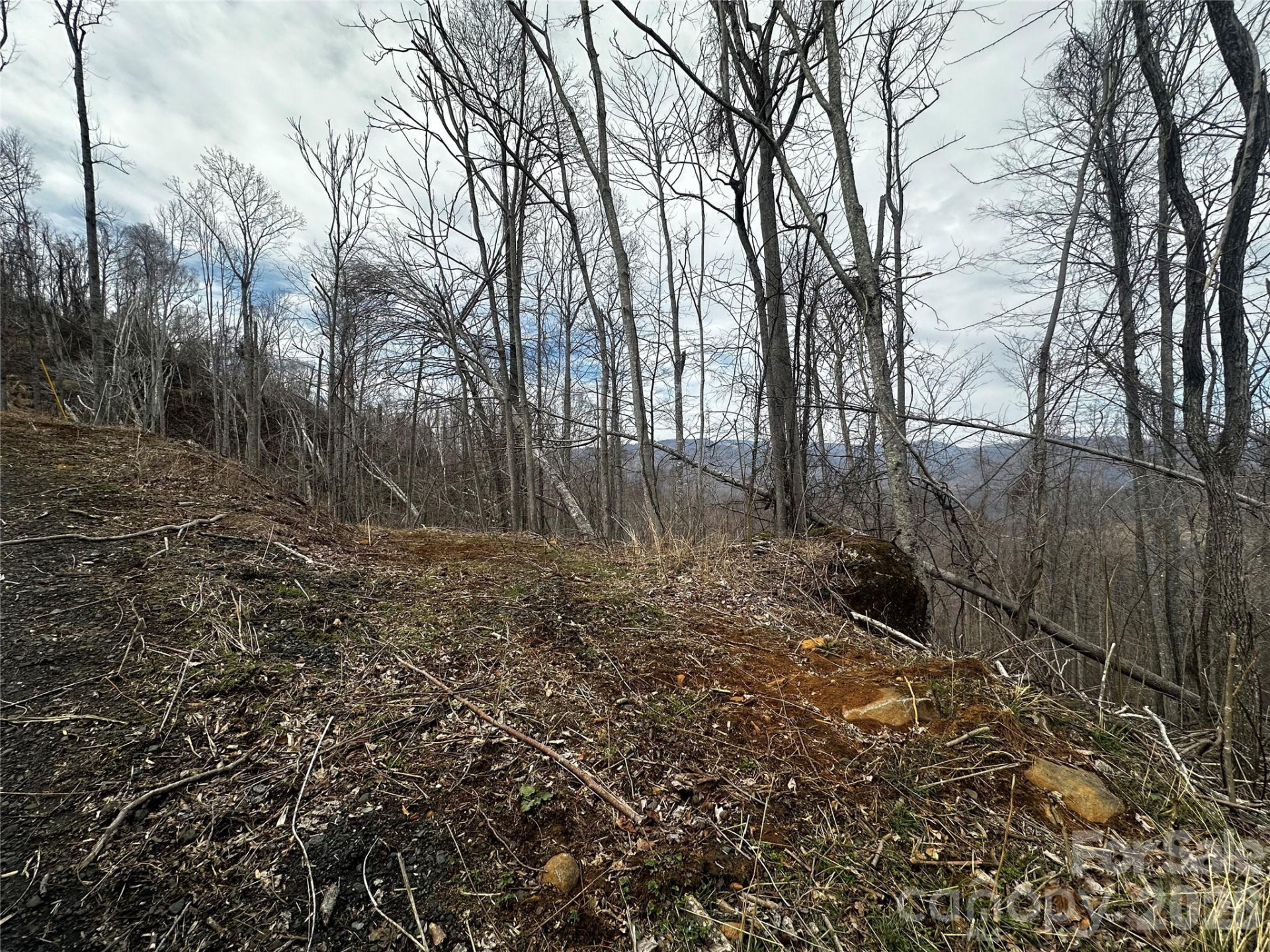00 Bear Ridge Road - Photo 3
