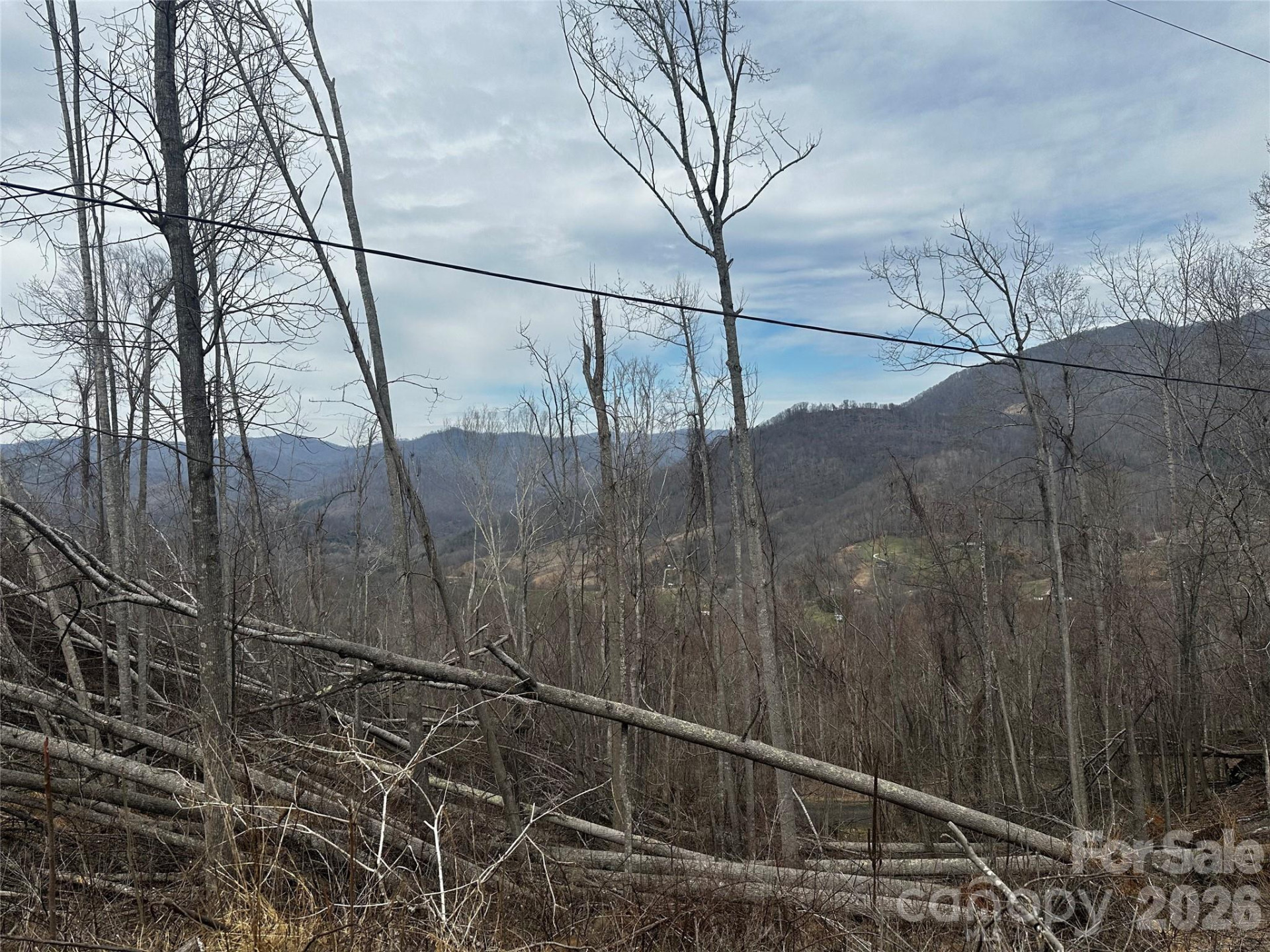 00 Bear Ridge Road - Photo 4