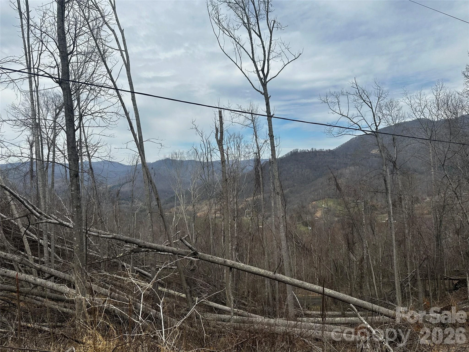 00 Bear Ridge Road - Photo 4