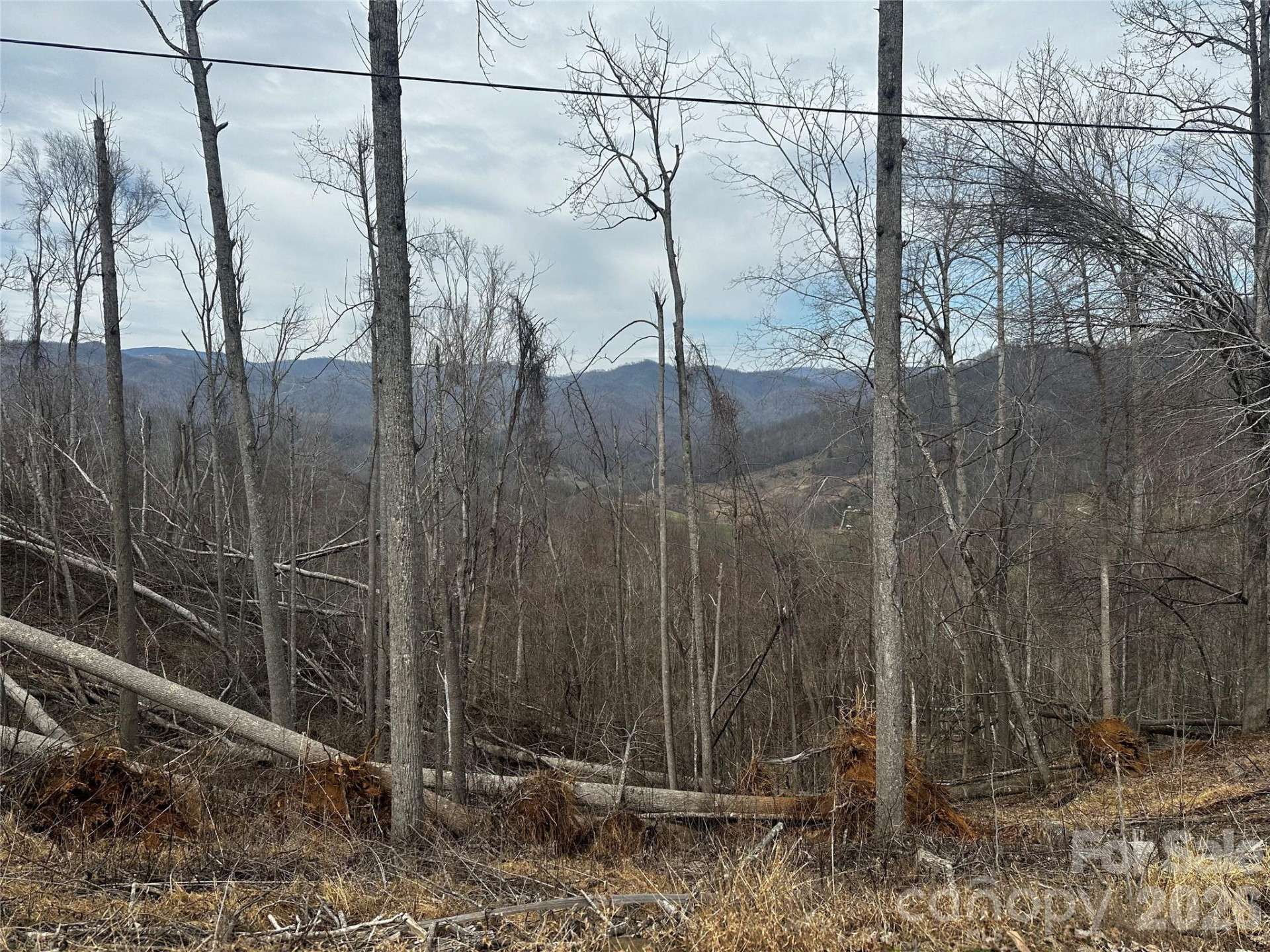 00 Bear Ridge Road - Photo 5