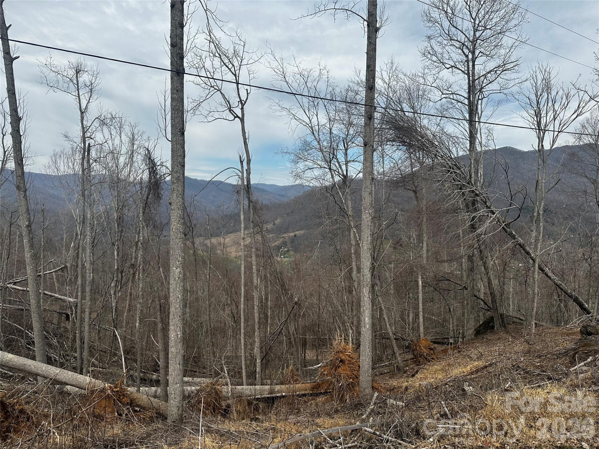 00 Bear Ridge Road - Photo 6