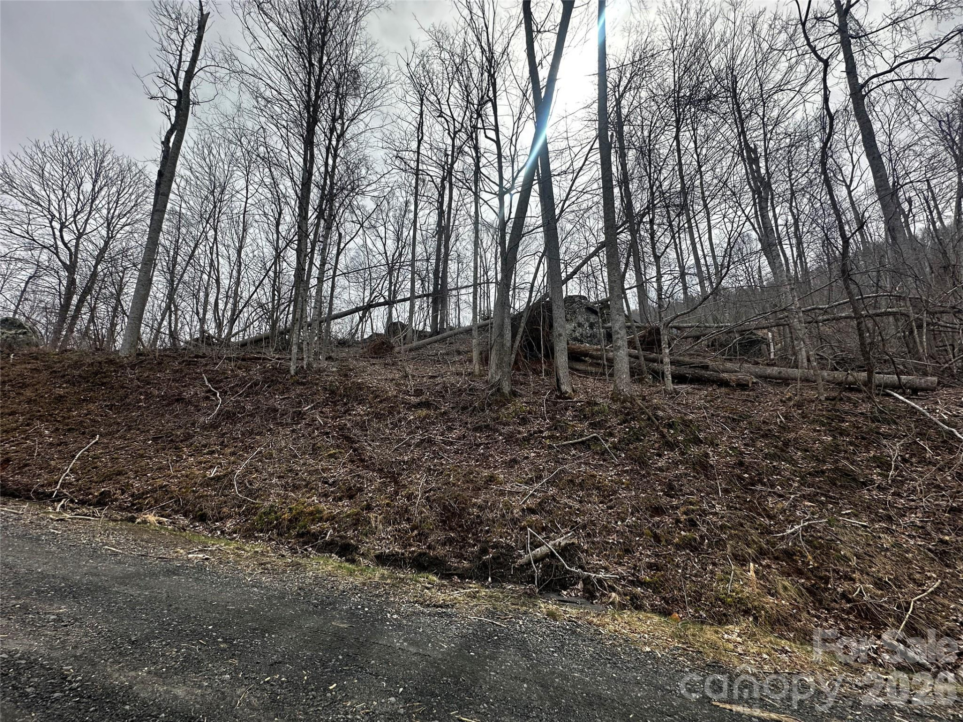 00 Bear Ridge Road - Photo 7