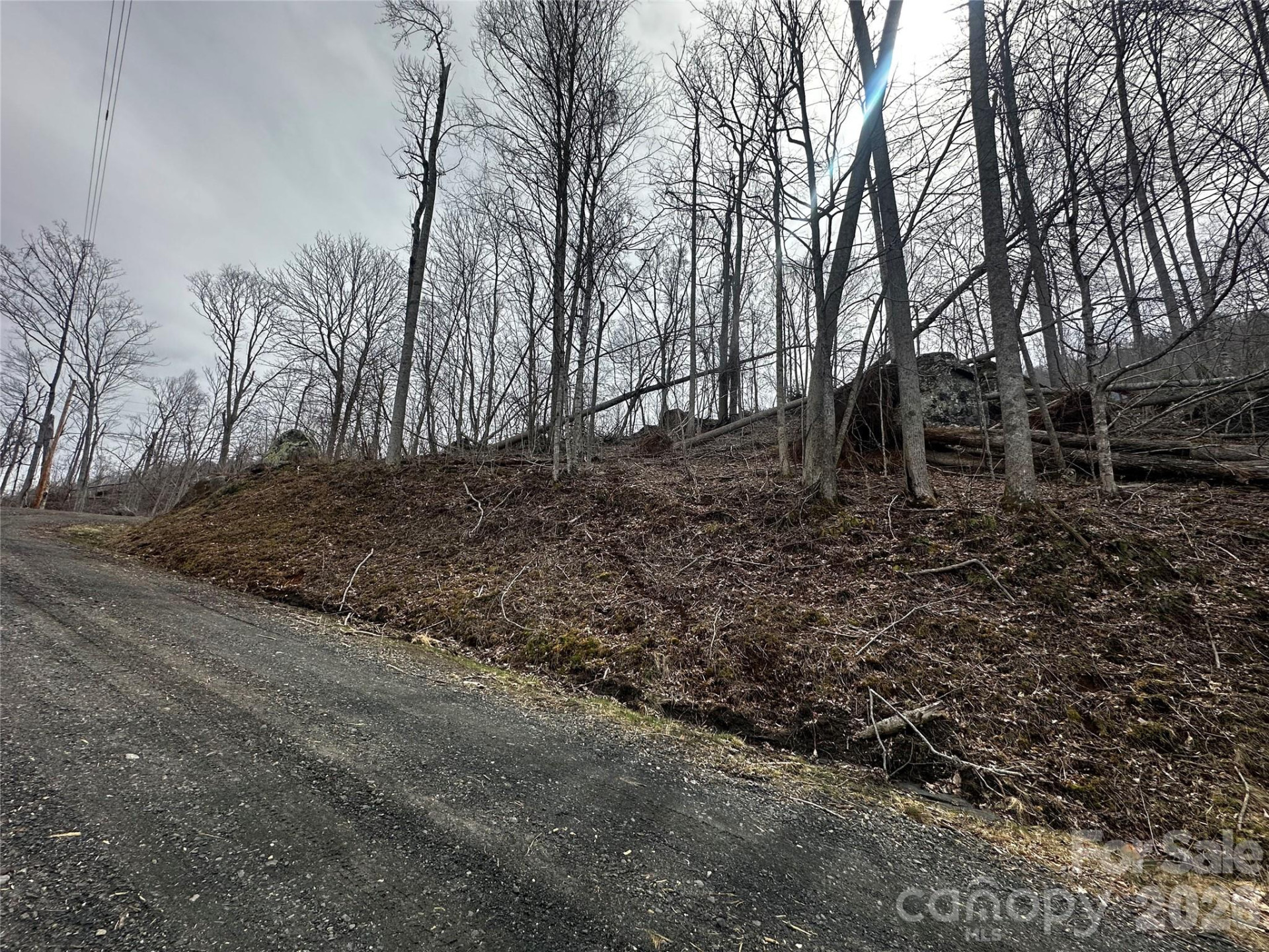 00 Bear Ridge Road - Photo 8
