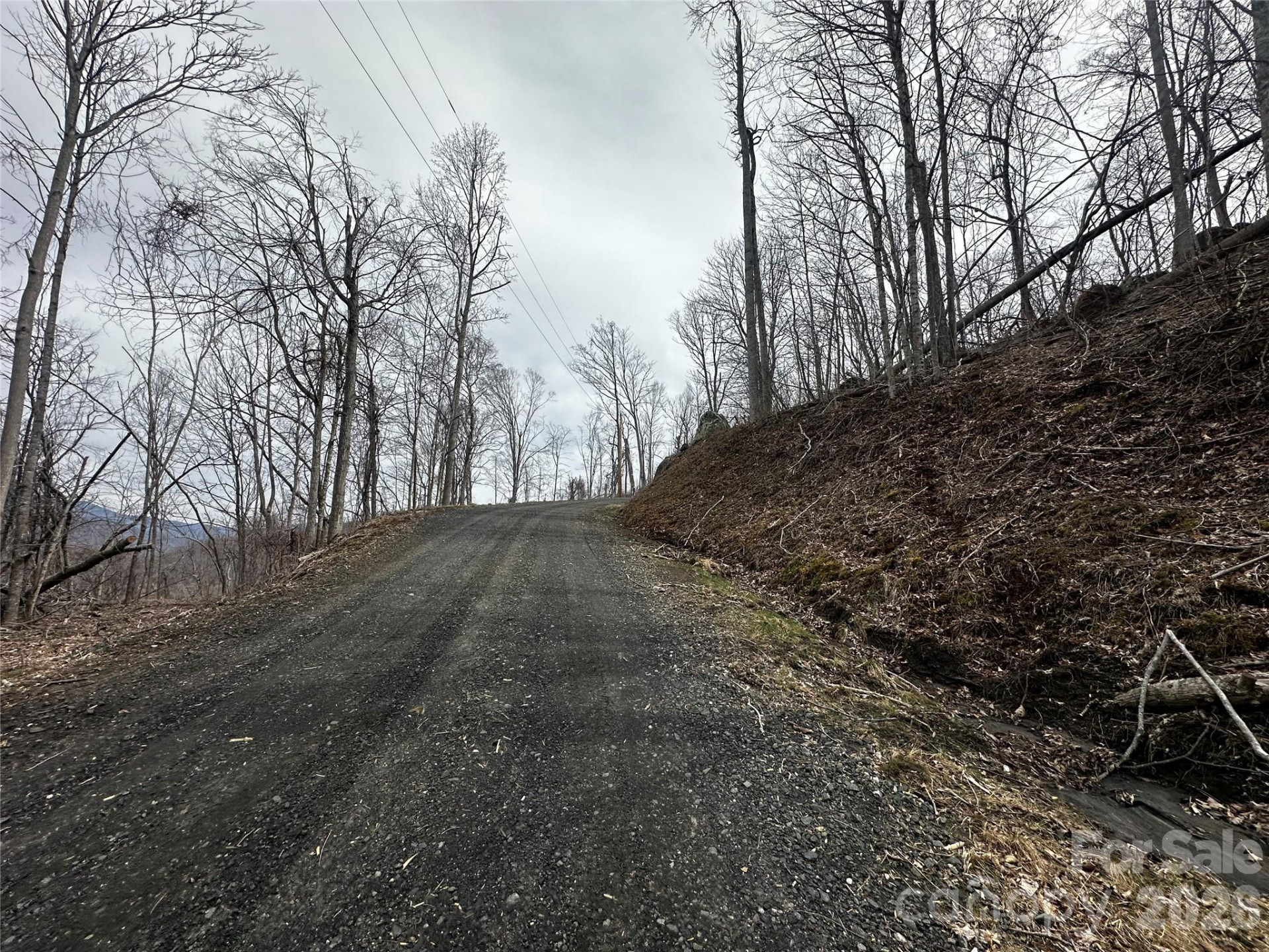 00 Bear Ridge Road - Photo 9