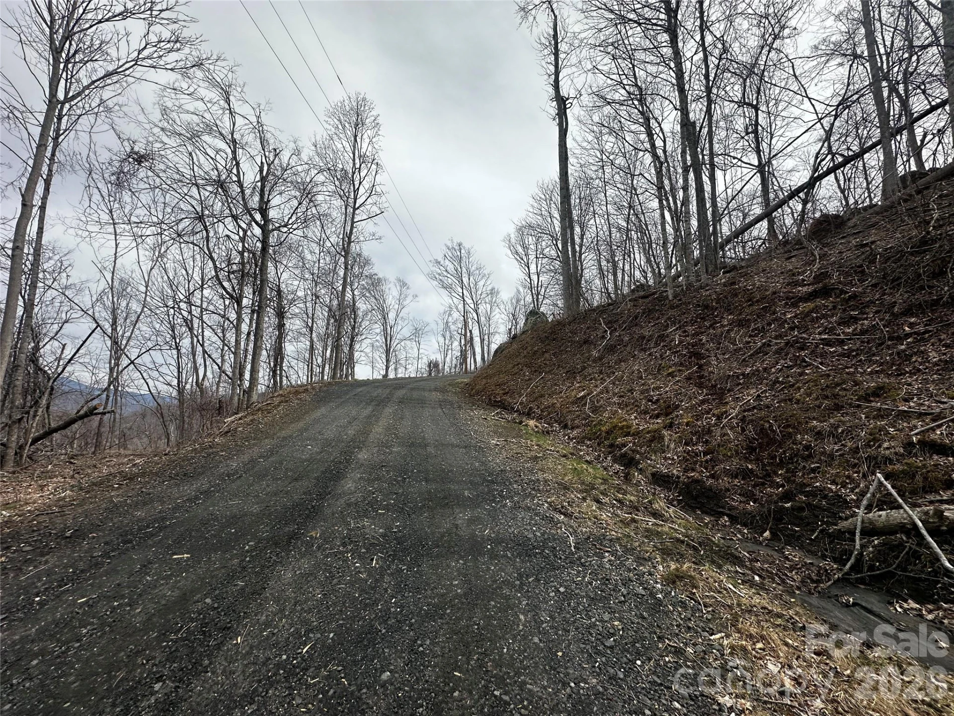 00 Bear Ridge Road - Photo 9
