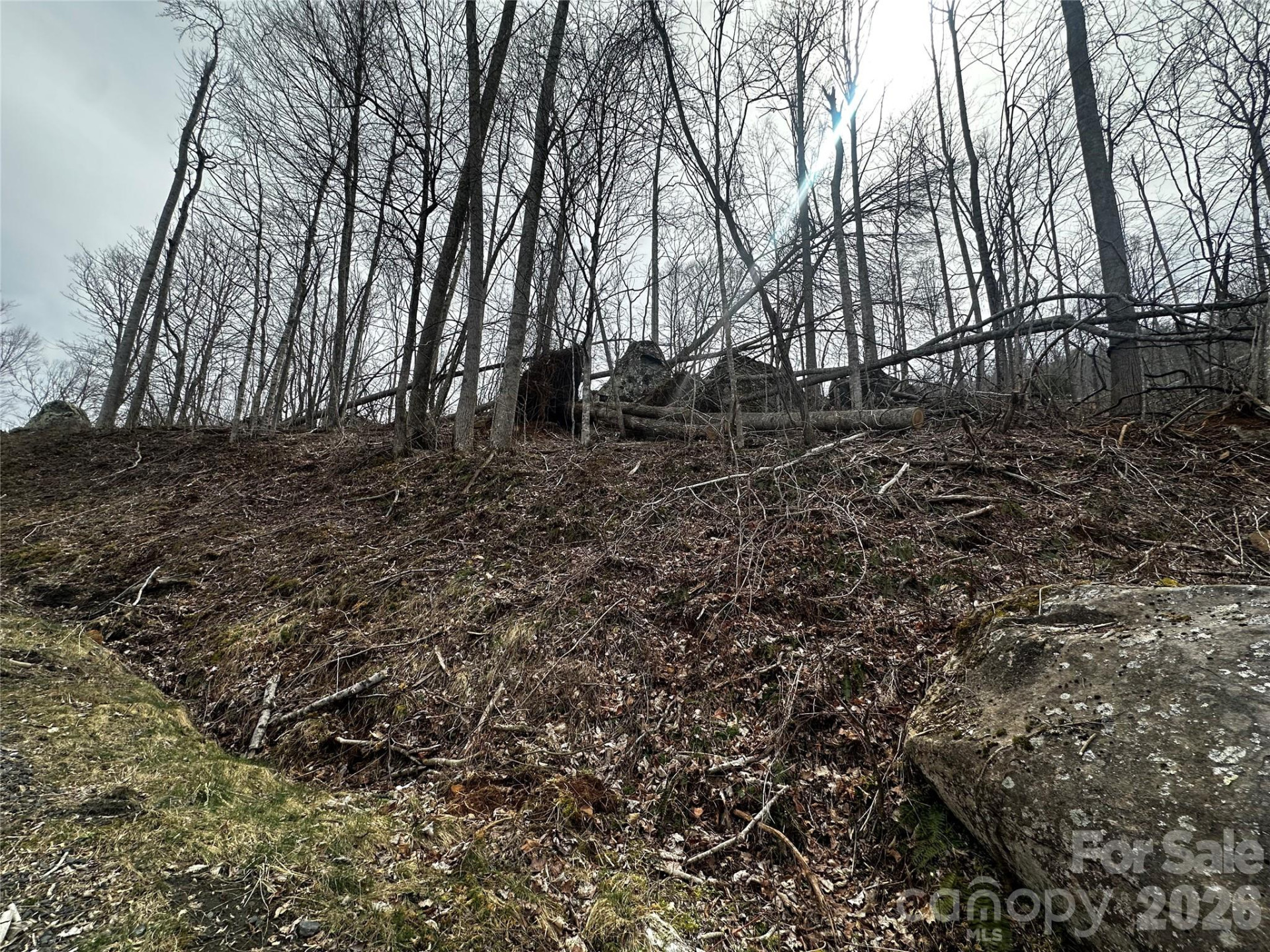 00 Bear Ridge Road - Photo 10