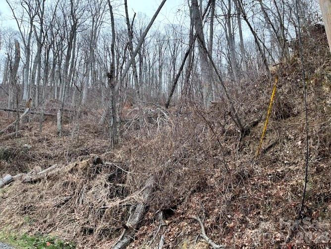 65 Weeping Cherry Forest Road - Photo 2