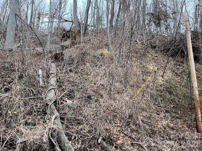 65 Weeping Cherry Forest Road - Photo 4