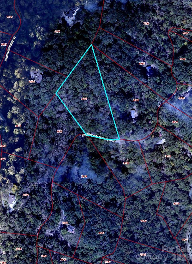 65 Weeping Cherry Forest Road - Photo 5