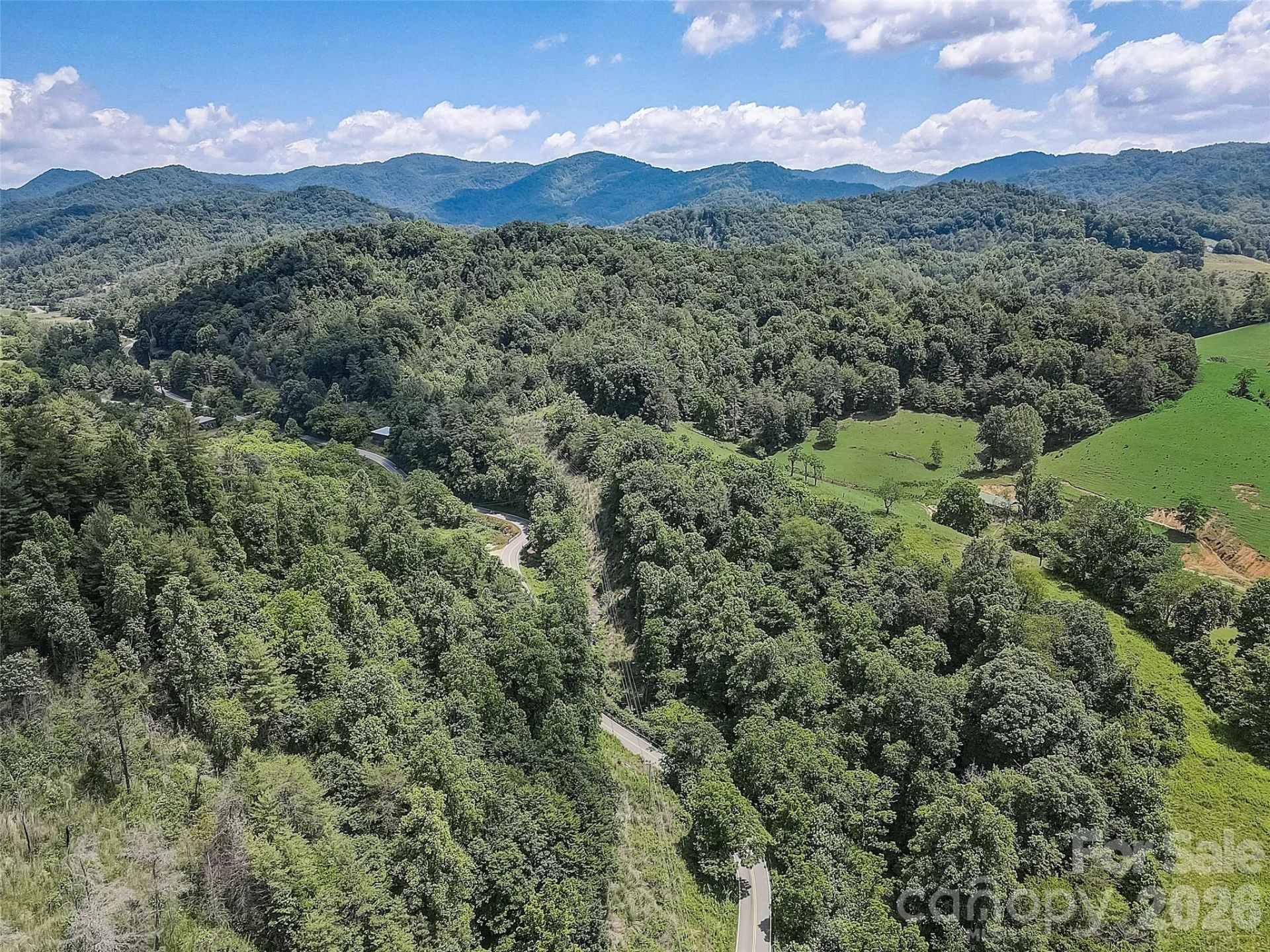1820 Grapevine Road - Photo 12