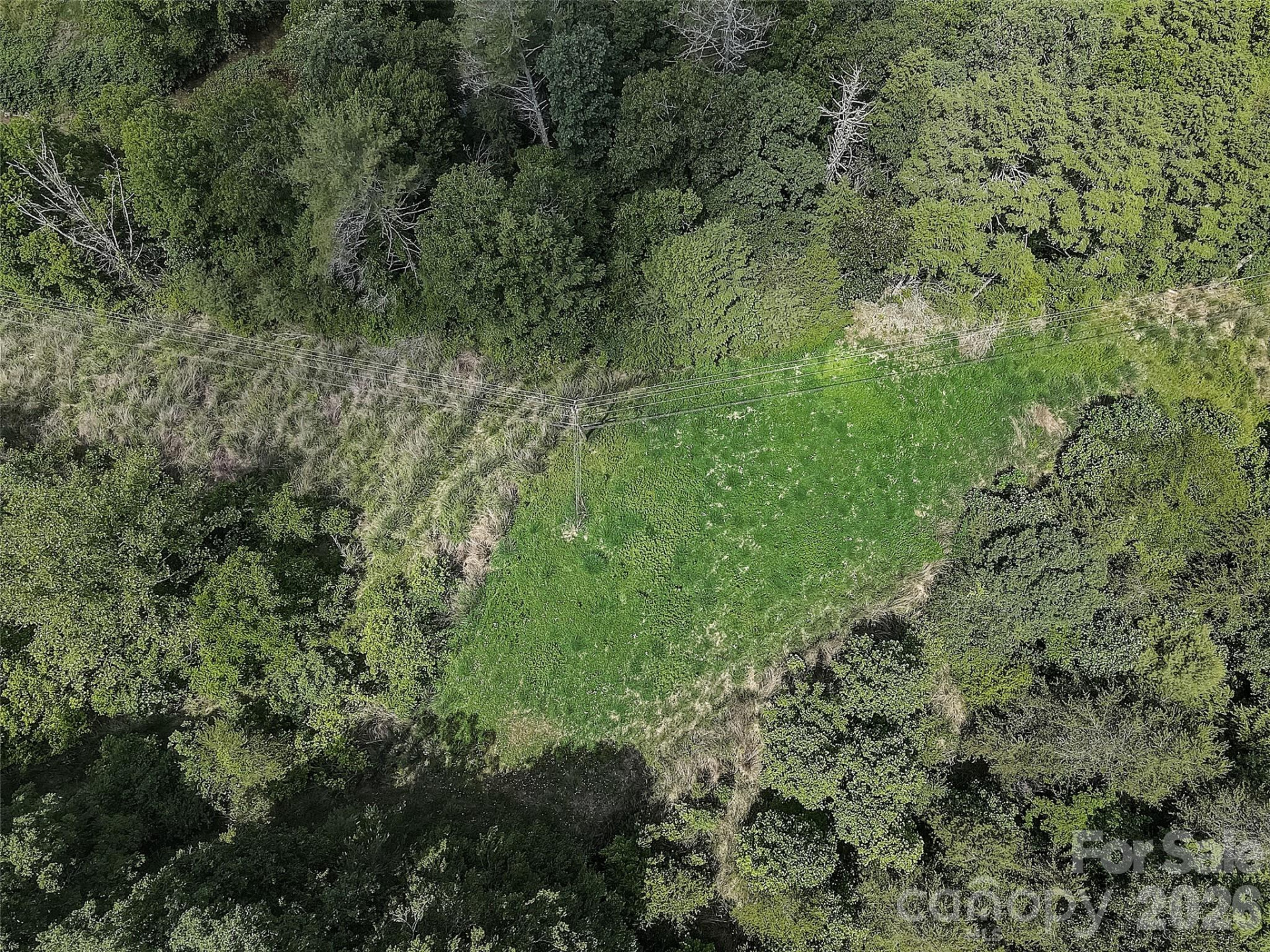 1820 Grapevine Road - Photo 17