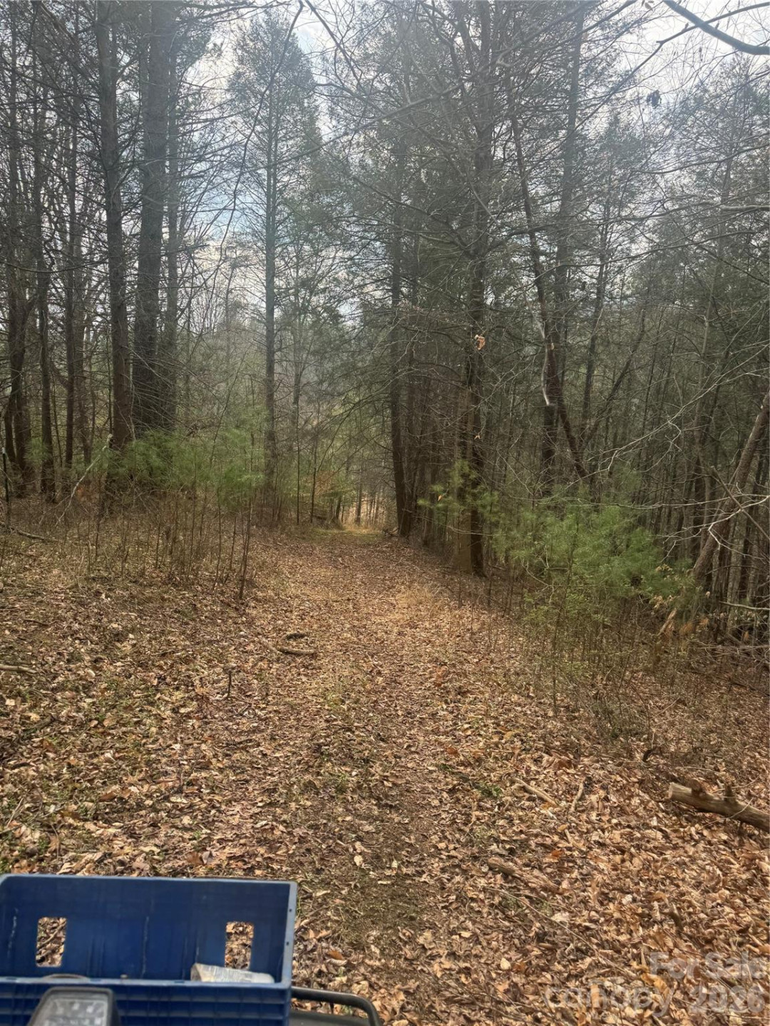 1820 Grapevine Road - Photo 18