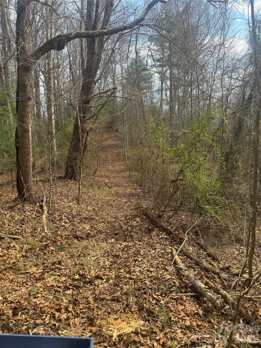 1820 Grapevine Road - Photo 20