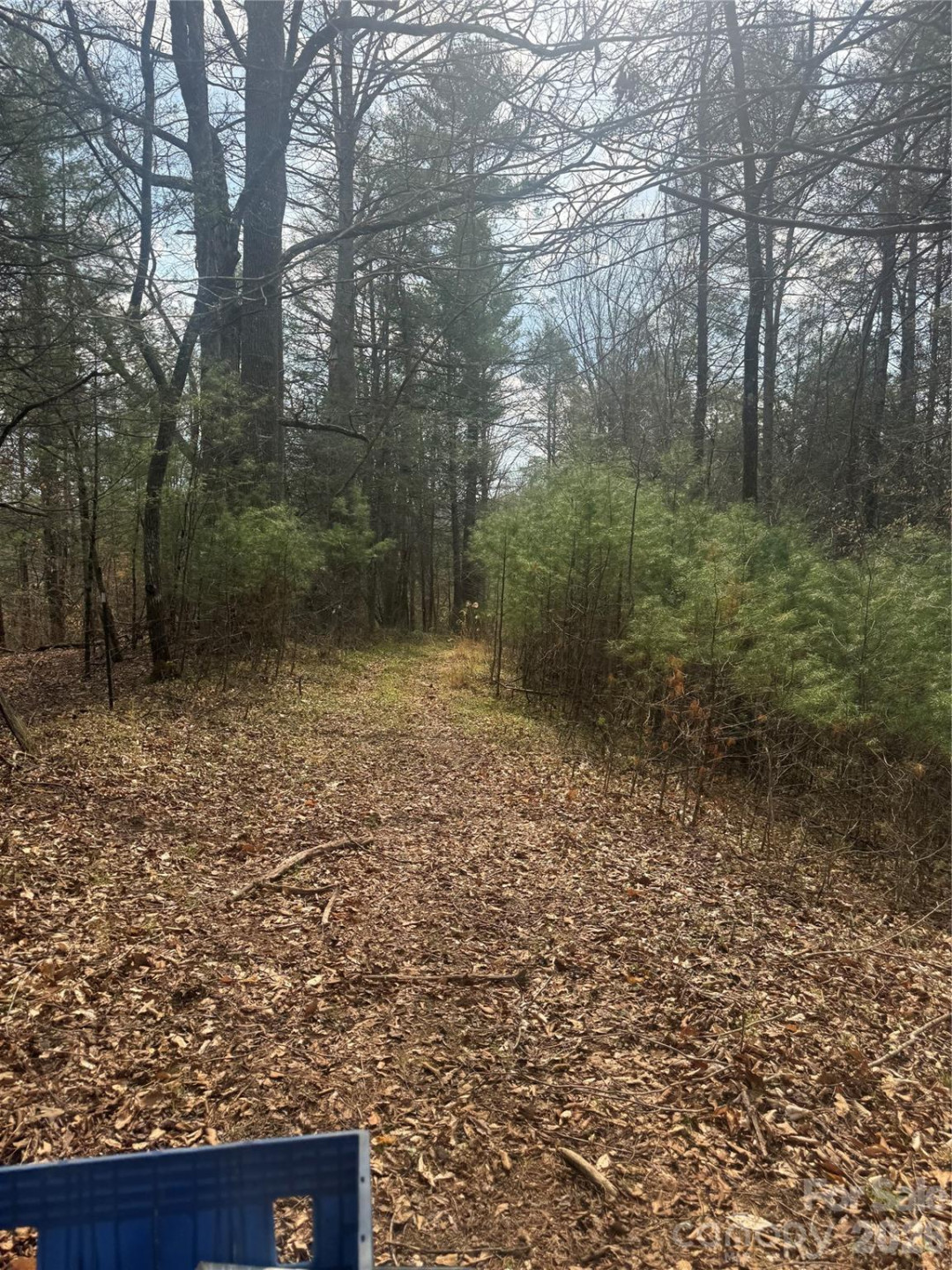 1820 Grapevine Road - Photo 22