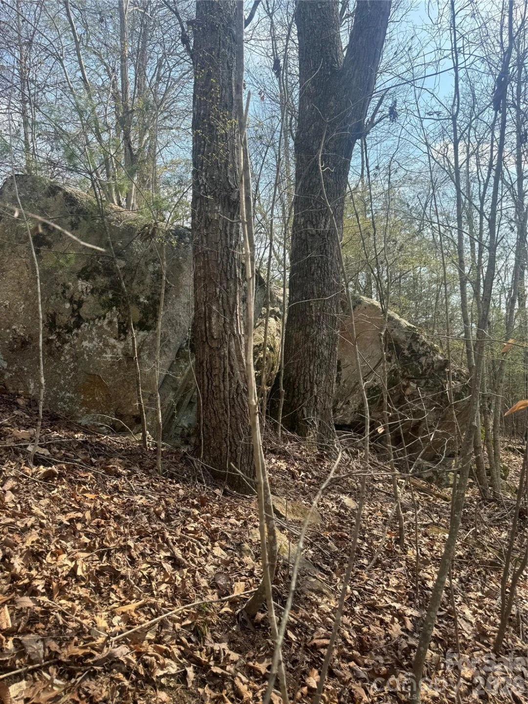 1820 Grapevine Road - Photo 23