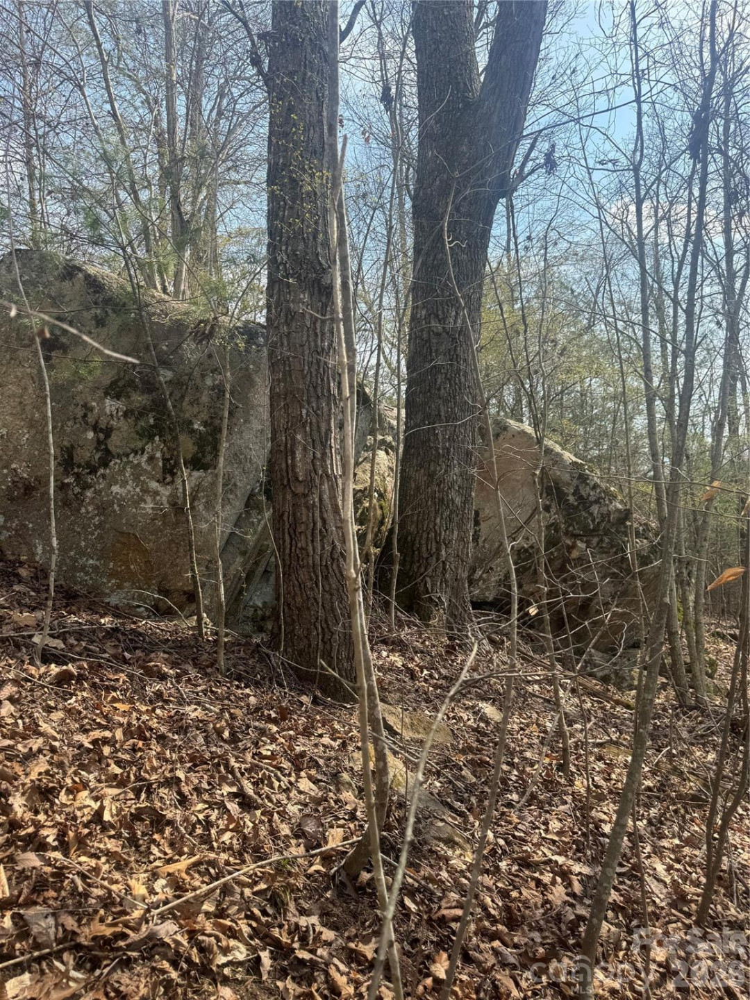 1820 Grapevine Road - Photo 25