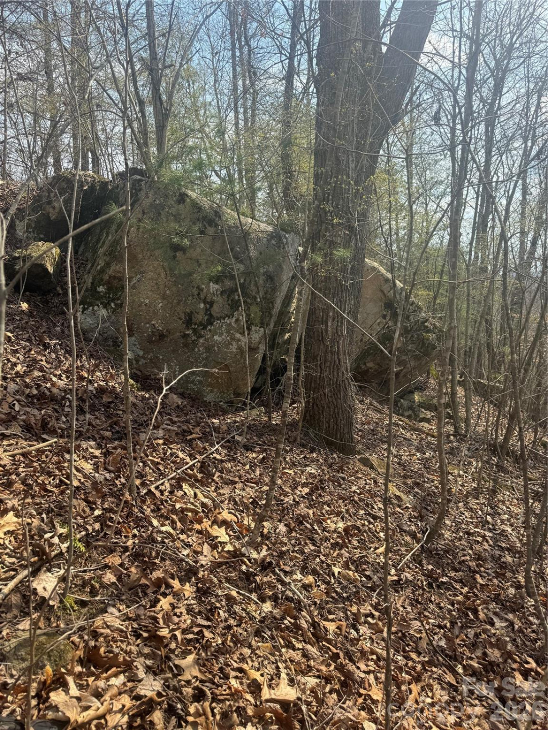 1820 Grapevine Road - Photo 26