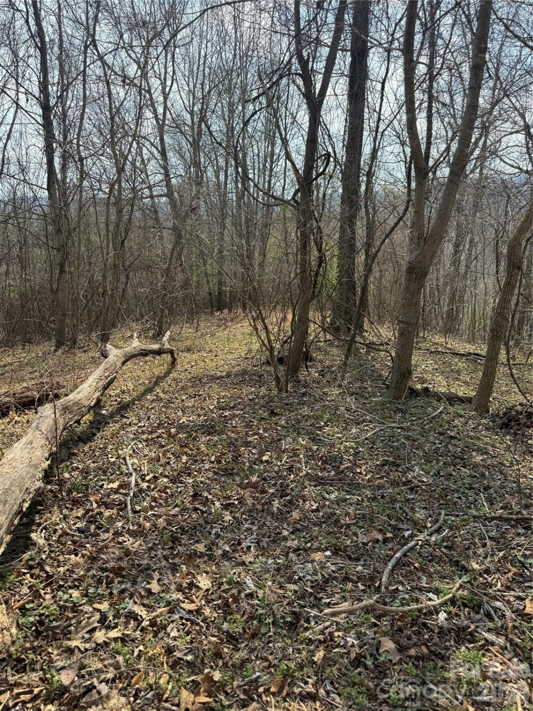 1820 Grapevine Road - Photo 29