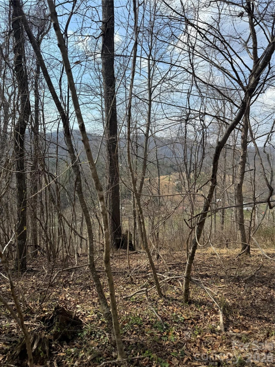 1820 Grapevine Road - Photo 27