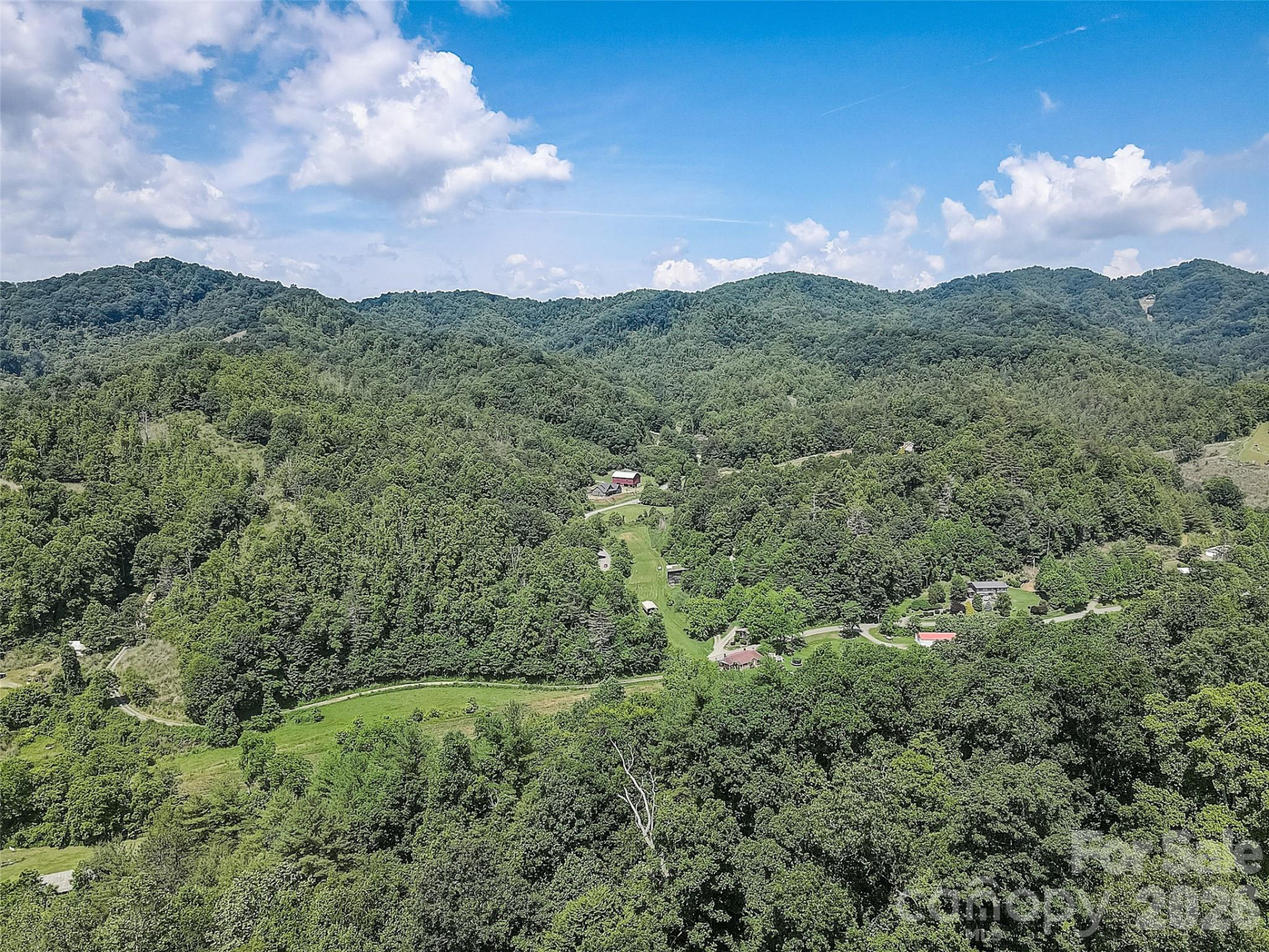 1820 Grapevine Road - Photo 4