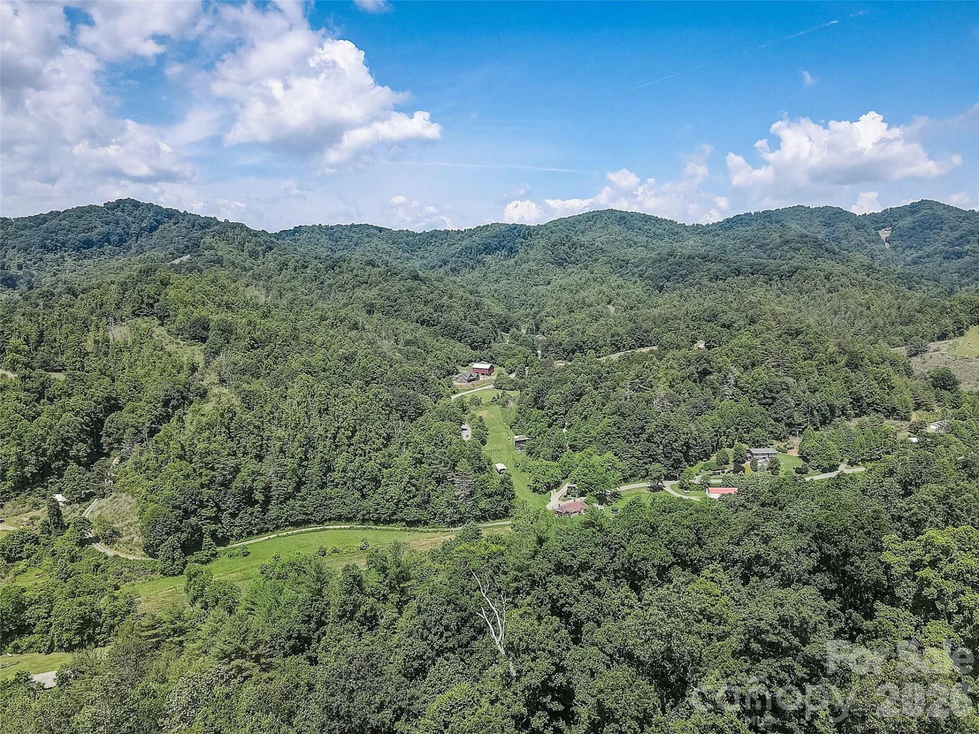 1820 Grapevine Road - Photo 4