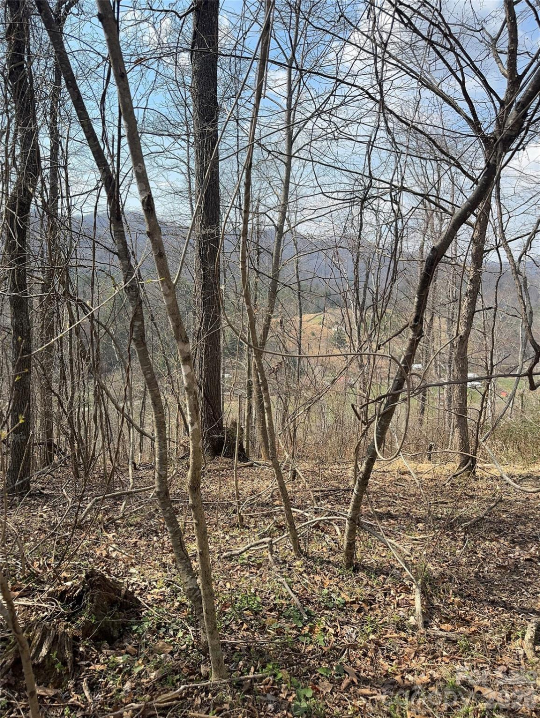 1820 Grapevine Road - Photo 31