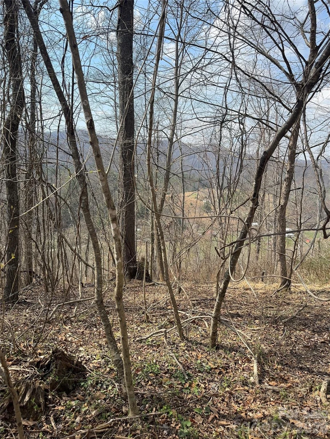 1820 Grapevine Road - Photo 28