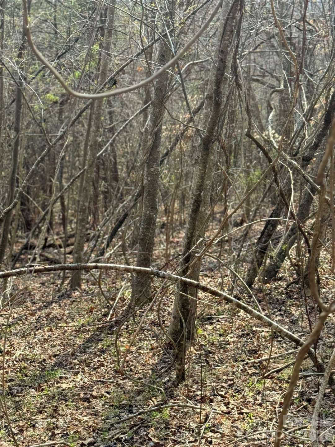 1820 Grapevine Road - Photo 32