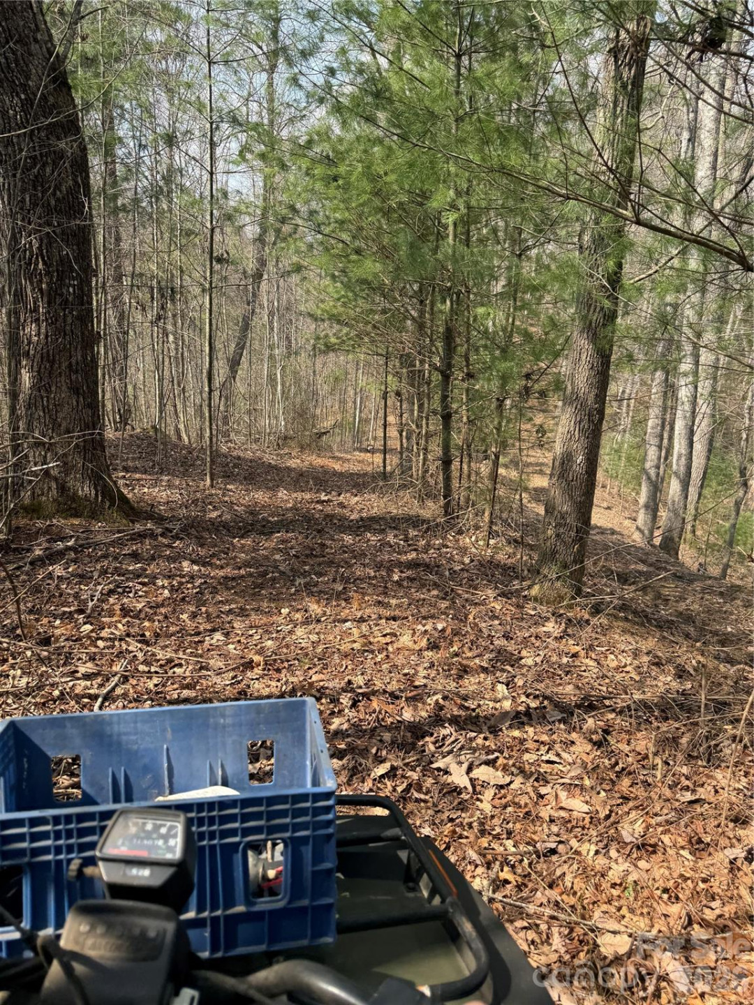 1820 Grapevine Road - Photo 37