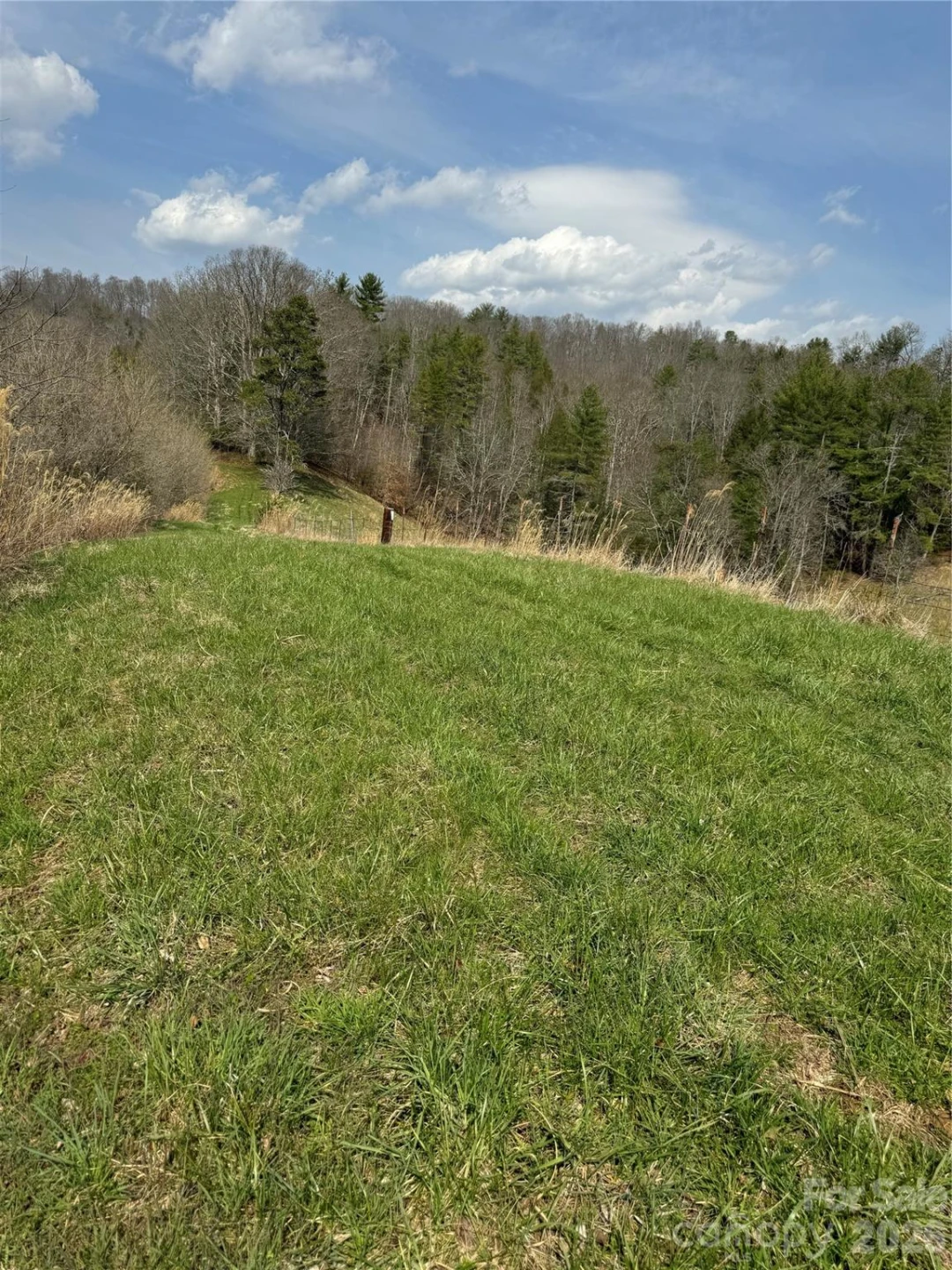 1820 Grapevine Road - Photo 34