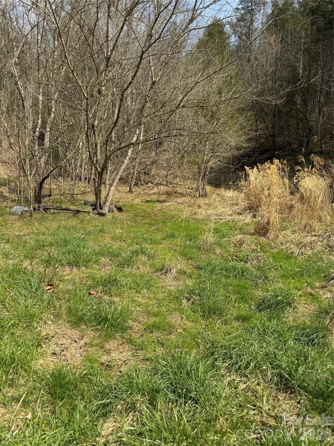 1820 Grapevine Road - Photo 40
