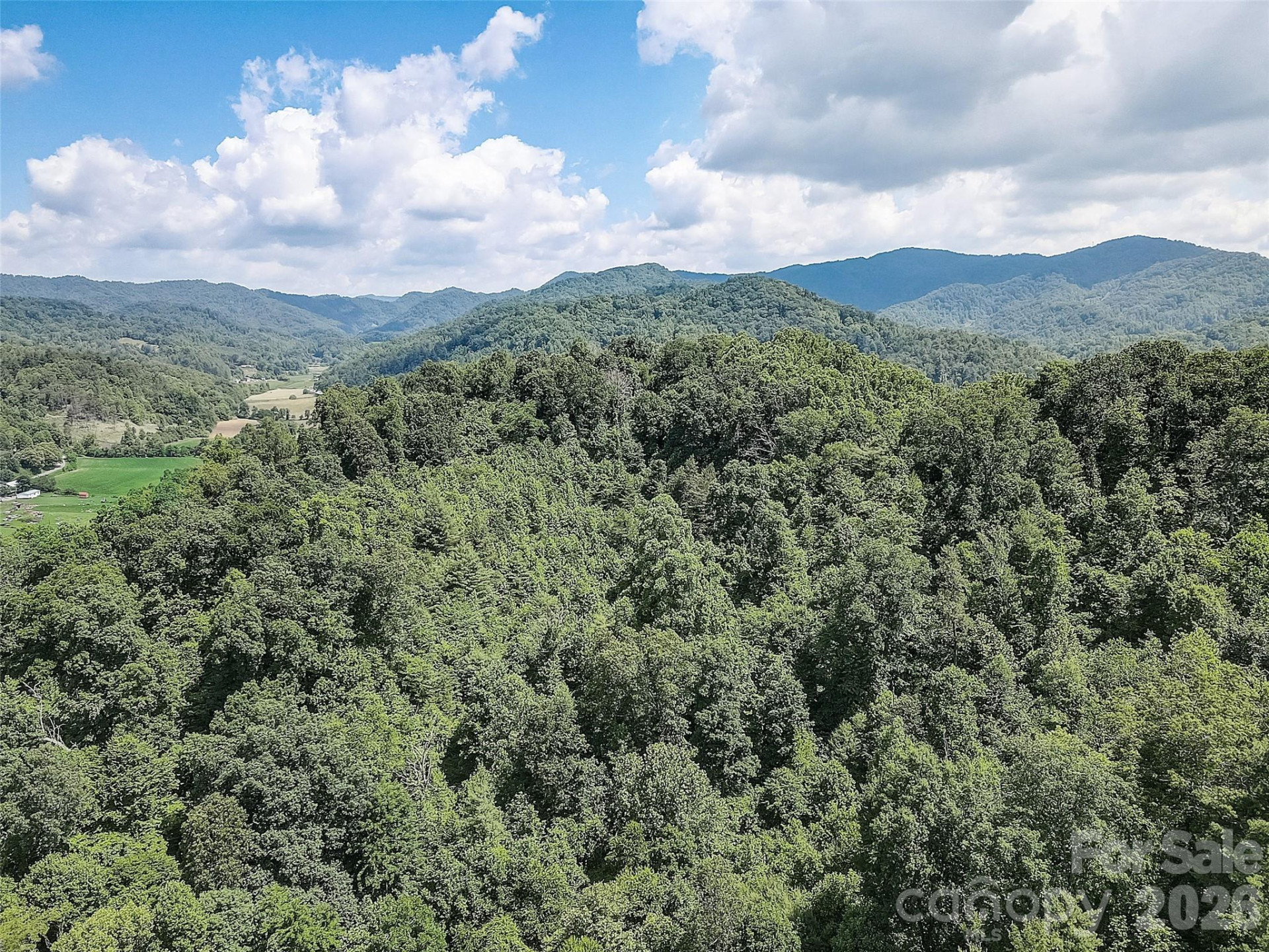 1820 Grapevine Road - Photo 8